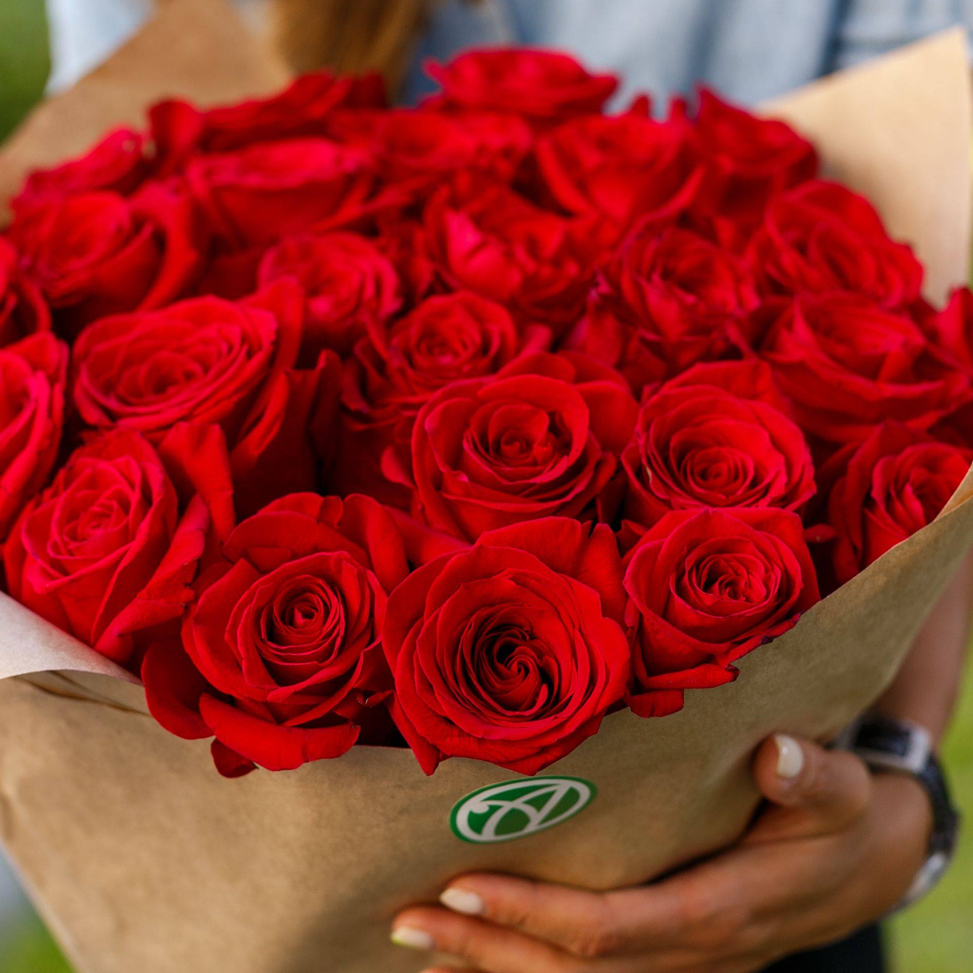 Букет 70 роз. 25 Красных роз (70 см.). Розы 70 см. Розы 70 см в руках.