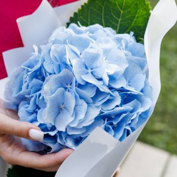 Букеты с голубыми цветами