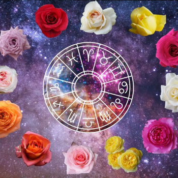 Цветы в астрологии. Волшебство, расцветающее под знаками Зодиака