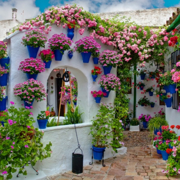 Праздники цветов в Испании