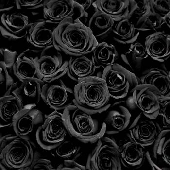 Букеты с черными цветами