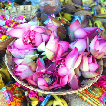 Праздники цветов в Индии