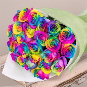 Rainbow rose (Радужная роза)