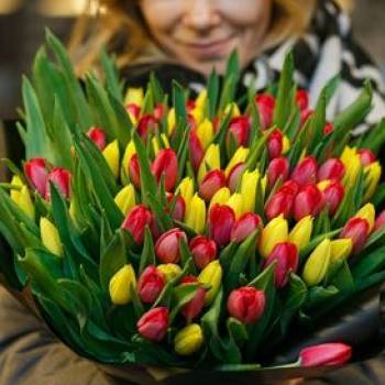 Какие тюльпаны подарить на 8 Марта