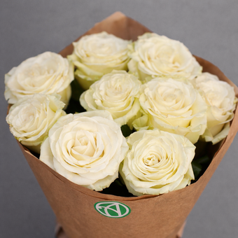 Букет из 9 белых роз 70 см (Эквадор)