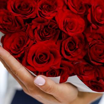 Роза красная 30 см (Россия) поштучно 