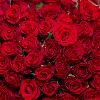 Роза красная 50 см (Кения) поштучно