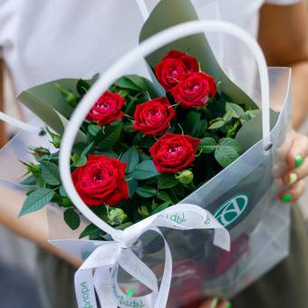 Купить цветы в горшках в Бобруйске