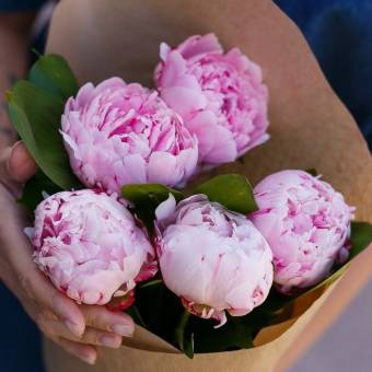 Букет из 5 розовых пионов (Голландия)