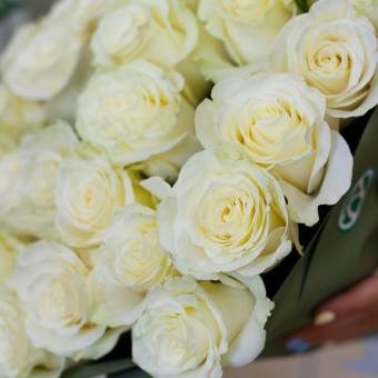 Роза белая 50 см (Эквадор) поштучно