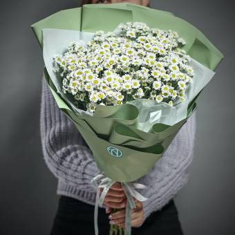 15 белых кустовых хризантем Сантини в корейской упаковке