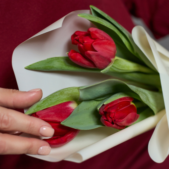 3 красных тюльпана в корейской упаковке