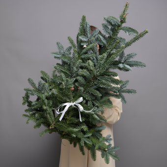 Охапка нобилиса - M