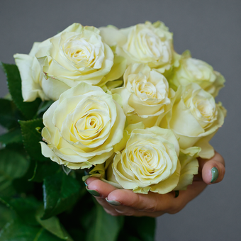 Букет из 7 белых роз 50 см (Эквадор) с атласной лентой