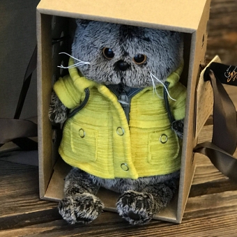 Басик в желтом плаще