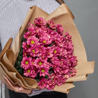 Букет из 9 розовых кустовых хризантем Бакарди (ромашка) в корейской упаковке