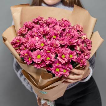 Букет из 9 розовых кустовых хризантем Бакарди (ромашка) в корейской упаковке