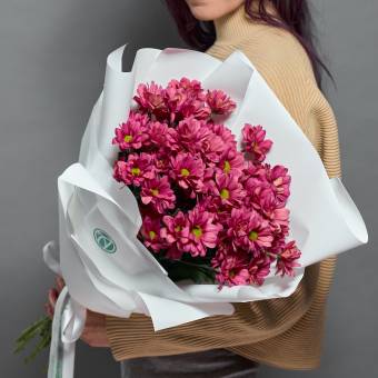 Букет из 5 розовых кустовых хризантем Бакарди (ромашка) в корейской упаковке