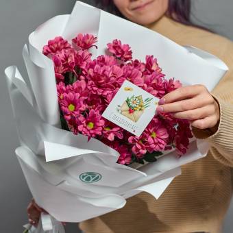 Набор размер ХS с букетом из 5 розовых кустовых хризантем Бакарди (ромашка) в корейской упаковке