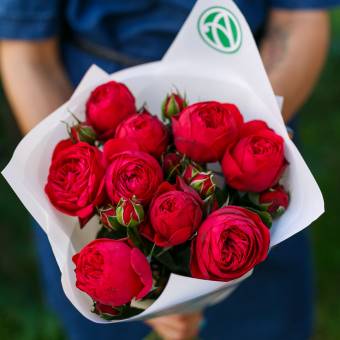 Букет из 9 пионовидных кустовых роз Ред Пиано 50 см