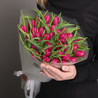 Букет из 35 малиновых тюльпанов (Голландия) в корейской матовой упаковке