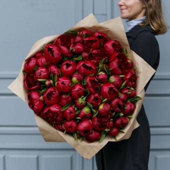 Букет из 51 бордового пиона (Голландия). АКЦИЯ!