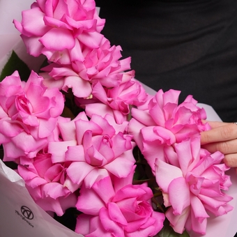 Букет из 9 ярко-розовых французских роз в корейской упаковке
