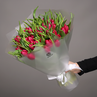 Букет из 51 малинового тюльпана (Голландия) в корейской упаковке