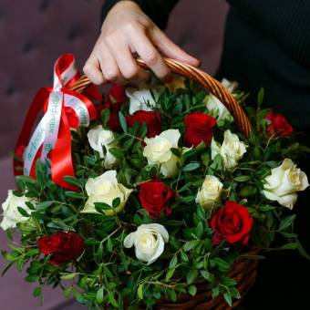 25 красных и белых роз Кения с зеленью в корзине