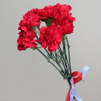 Букет из 9 красных гвоздик