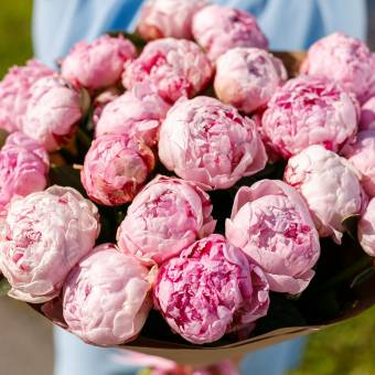 Букет из 25 розовых пионов (Голландия)