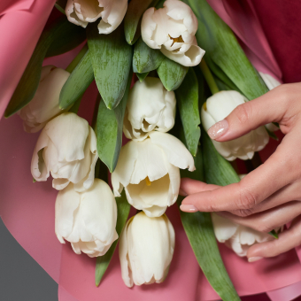 11 белых тюльпанов в корейской упаковке