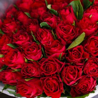 Букет из 101 красной розы Кения (35 см)