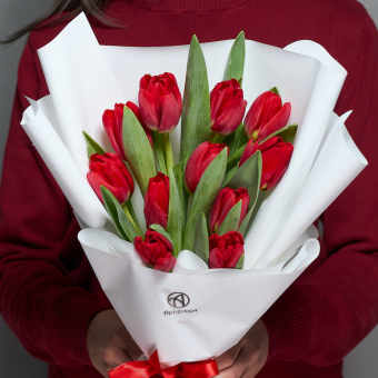 11 красных тюльпанов в корейской упаковке