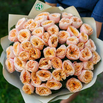 Букет из 51 пионовидной розы Вувузела Пич 50 см