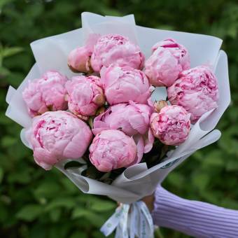 Букет из 11 розовых пионов (Голландия)