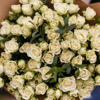 Букет из 25 белых кустовых роз с эвкалиптом
