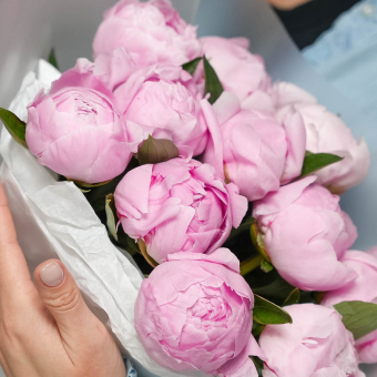 Букет из 11 розовых пионов (Россия) в корейской матовой пленке