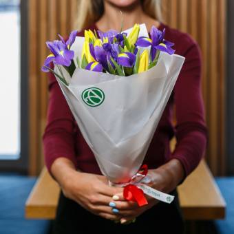 7 желтых тюльпанов с ирисами в упаковке