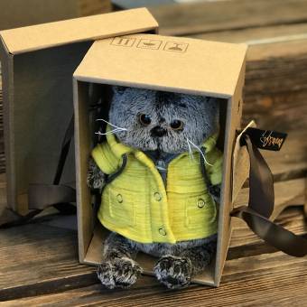 Басик в желтом плаще