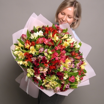 Букет из 51 альстромерии микс в корейской светлой упаковке