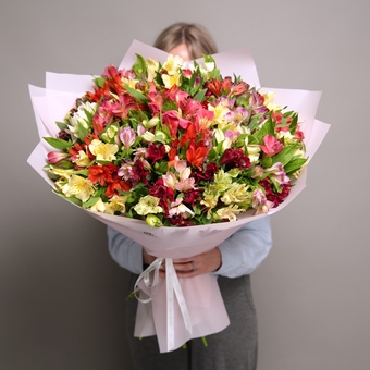 Букет из 51 альстромерии микс в корейской светлой упаковке