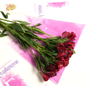 Пачка красных альстромерий
