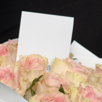 Набор размер L с букетом 35 светло-розовых роз Кения (50 см)