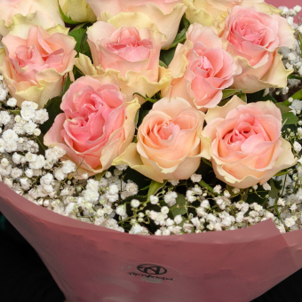 Букет из светло-розовых роз 50 см (Кения) и гипсофилы - М в корейской упаковке