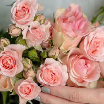 Букет из кустовых роз и роз Кения (50 см) - М в корейской упаковке