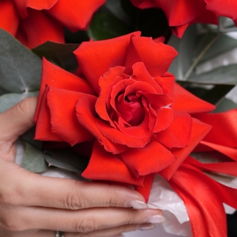 Шляпная коробка с алыми французскими розами - M