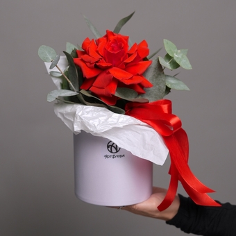 Шляпная коробка с алой французской розой - S