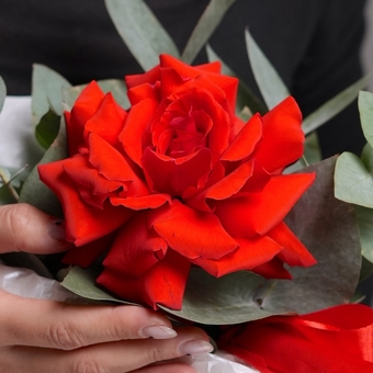 Шляпная коробка с алой французской розой - S