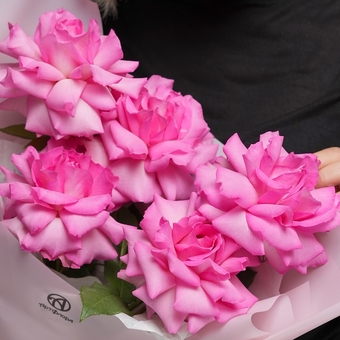 Букет из 5 ярко-розовых французских роз в корейской упаковке